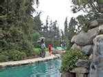 Playboy Mansion