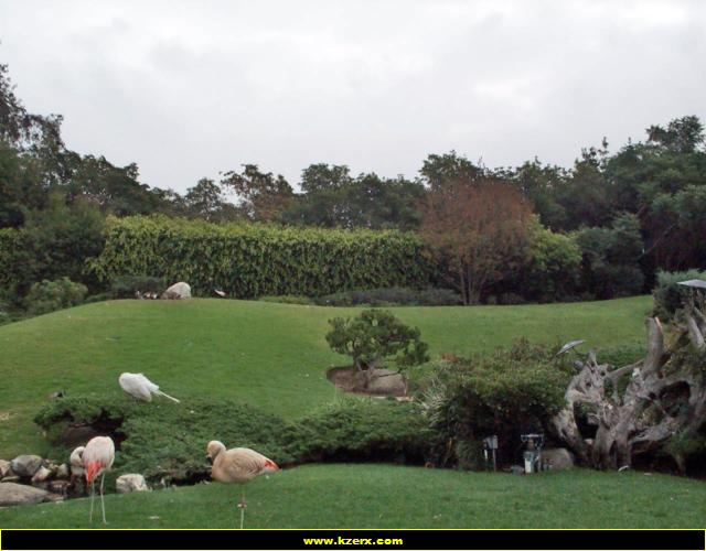 Playboy Mansion