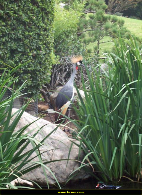 Playboy Mansion