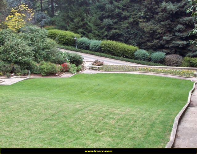 Playboy Mansion