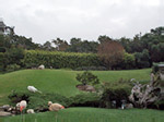 Playboy Mansion