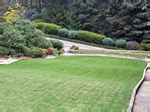 Playboy Mansion