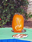 Playboy Mansion