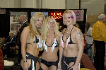 Adult Entertainment Expo