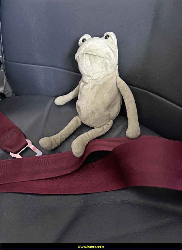 Fergus in Las Vegas