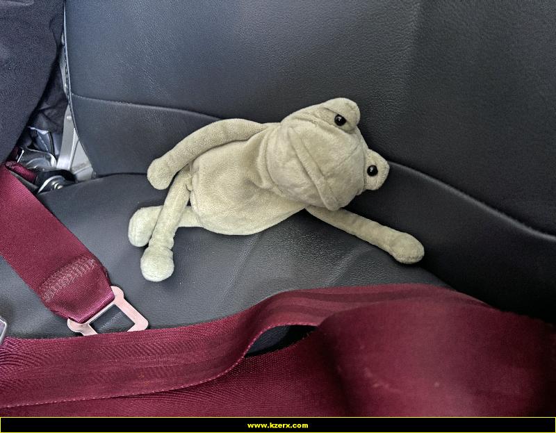 Fergus in Las Vegas