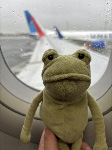 Fergus in Las Vegas