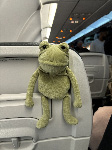 Fergus in Las Vegas