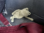 Fergus in Las Vegas