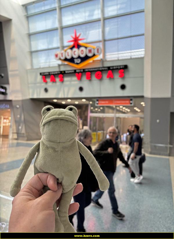 Fergus in Las Vegas