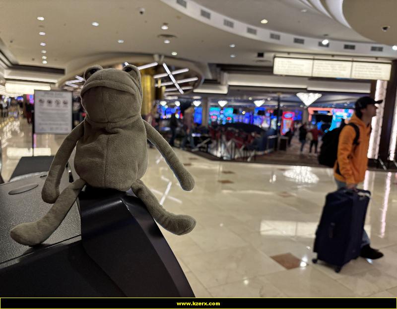 Fergus in Las Vegas