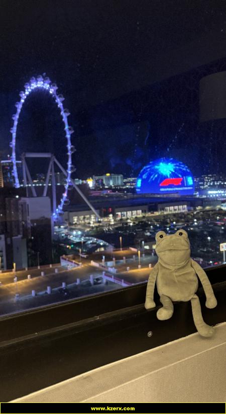 Fergus in Las Vegas