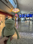 Fergus in Las Vegas