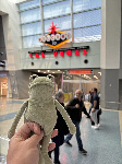 Fergus in Las Vegas