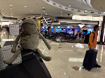 Fergus in Las Vegas
