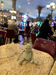 Fergus in Las Vegas