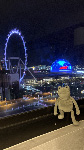 Fergus in Las Vegas