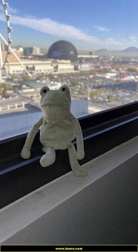 Fergus in Las Vegas