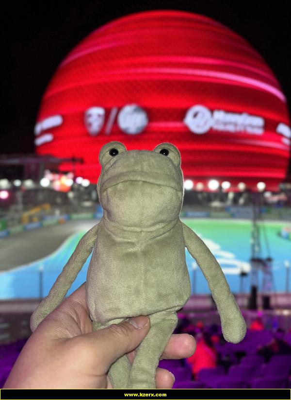 Fergus in Las Vegas