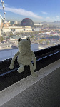 Fergus in Las Vegas