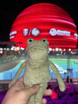 Fergus in Las Vegas