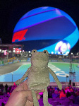 Fergus in Las Vegas