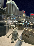 Fergus in Las Vegas