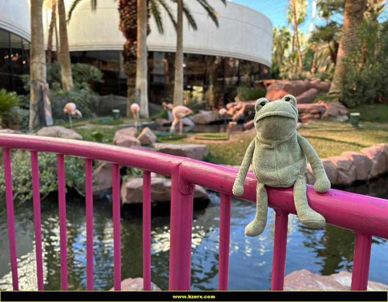 Fergus in Las Vegas
