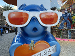 Fergus in Las Vegas