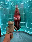 Fergus in Las Vegas