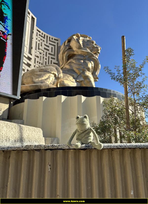 Fergus in Las Vegas