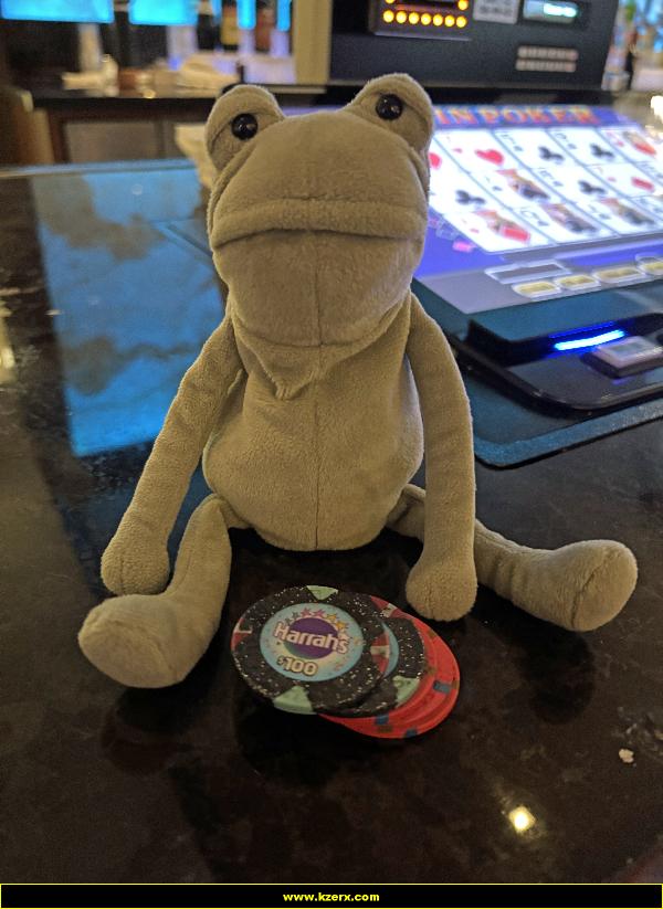 Fergus in Las Vegas