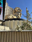 Fergus in Las Vegas