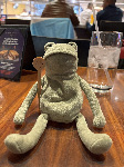 Fergus in Las Vegas