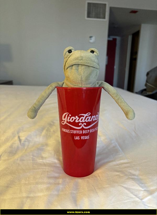 Fergus in Las Vegas