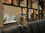 Fergus in Las Vegas