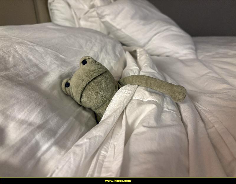 Fergus in Las Vegas