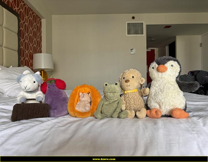 Fergus in Las Vegas