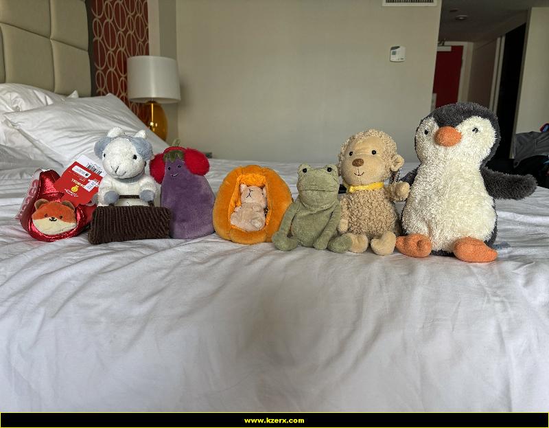 Fergus in Las Vegas