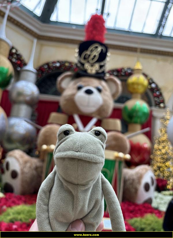 Fergus in Las Vegas