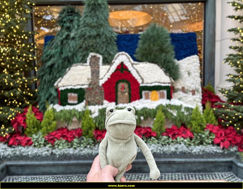 Fergus in Las Vegas