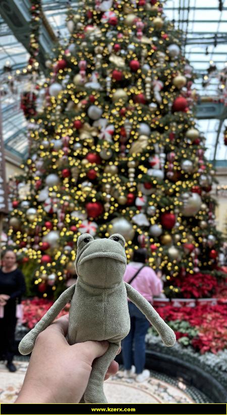 Fergus in Las Vegas