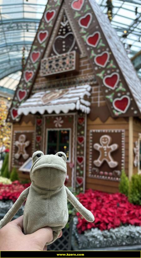 Fergus in Las Vegas