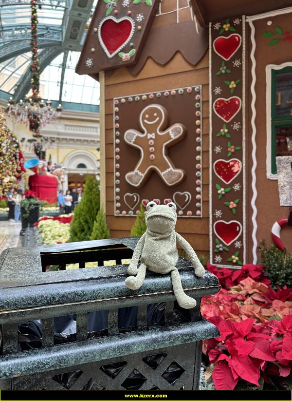 Fergus in Las Vegas