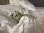 Fergus in Las Vegas