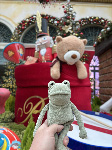Fergus in Las Vegas