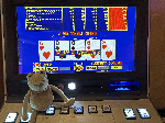 Fergus in Las Vegas