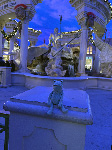Fergus in Las Vegas