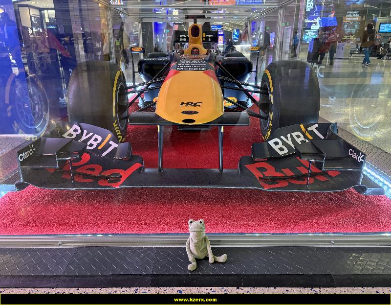 Fergus in Las Vegas