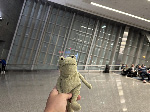 Fergus in Las Vegas